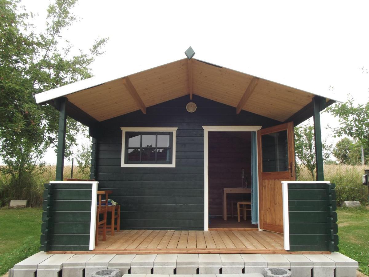 Camping & Guest House Pliskovice Mirovice Eksteriør billede
