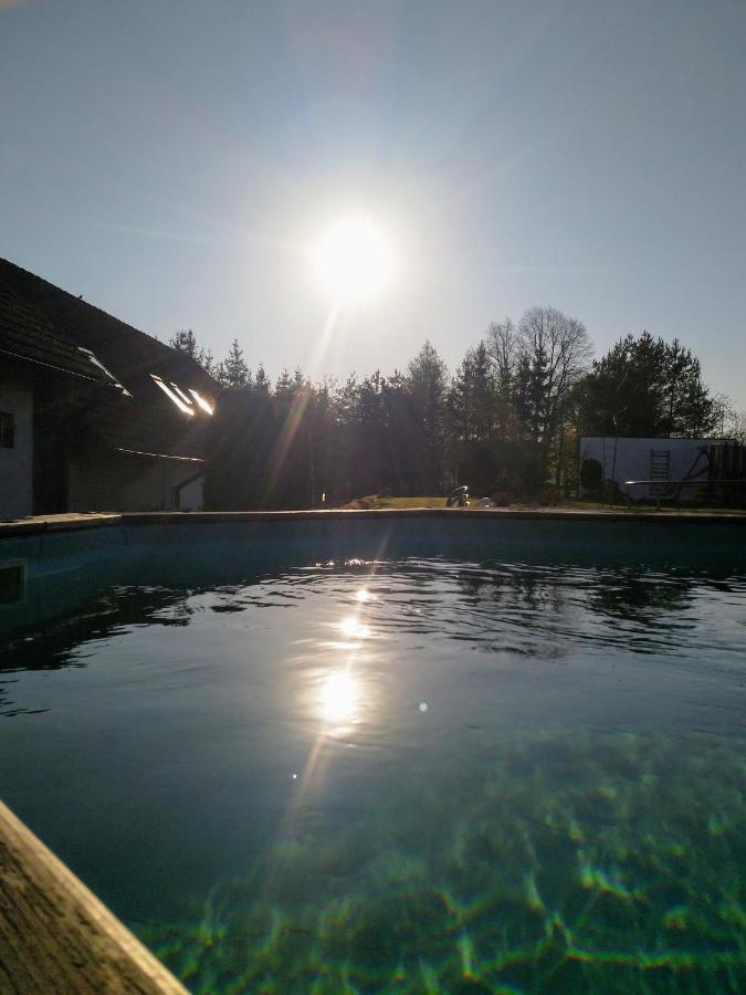 Camping & Guest House Pliskovice Mirovice Eksteriør billede