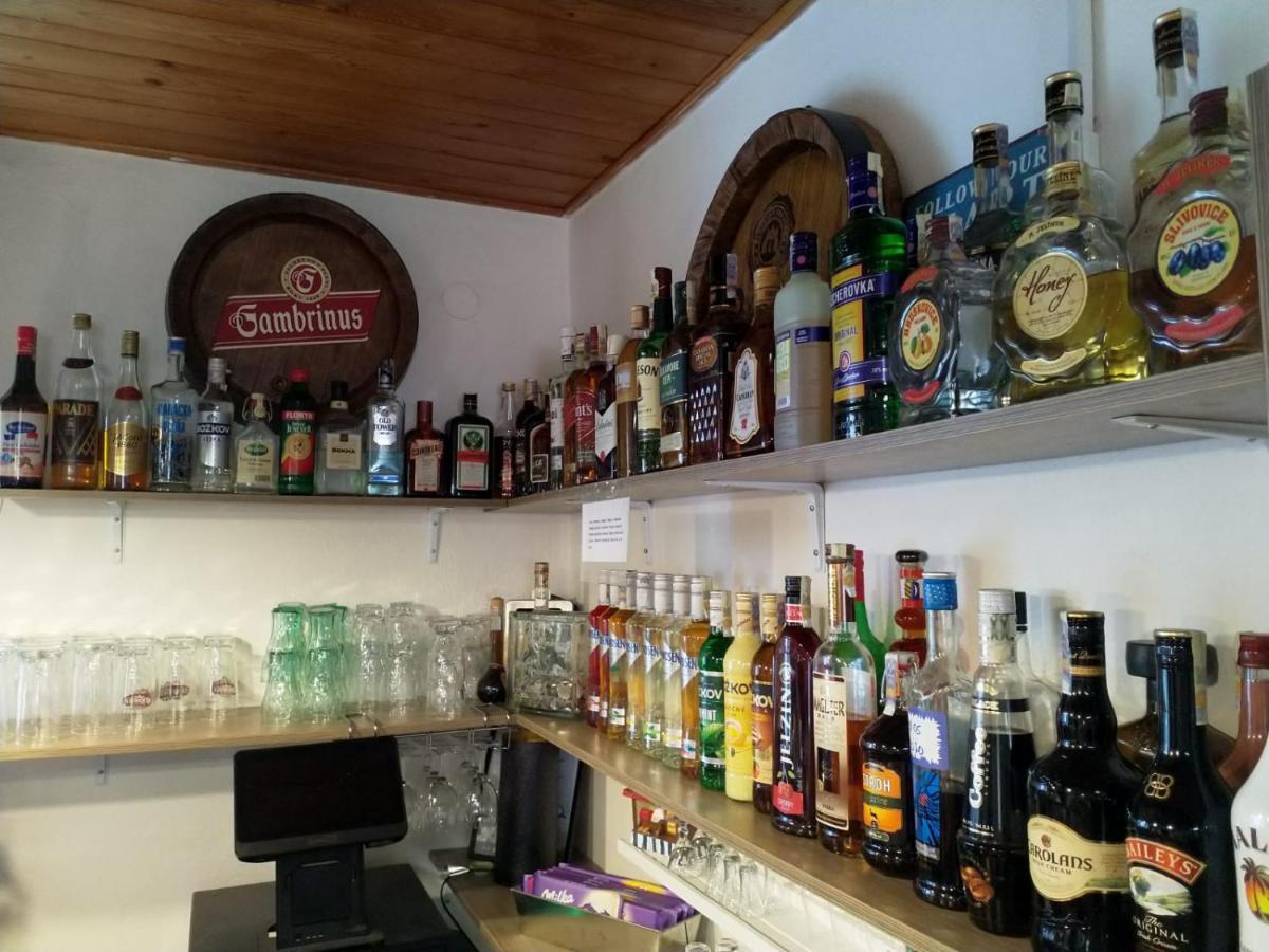 Camping & Guest House Pliskovice Mirovice Eksteriør billede