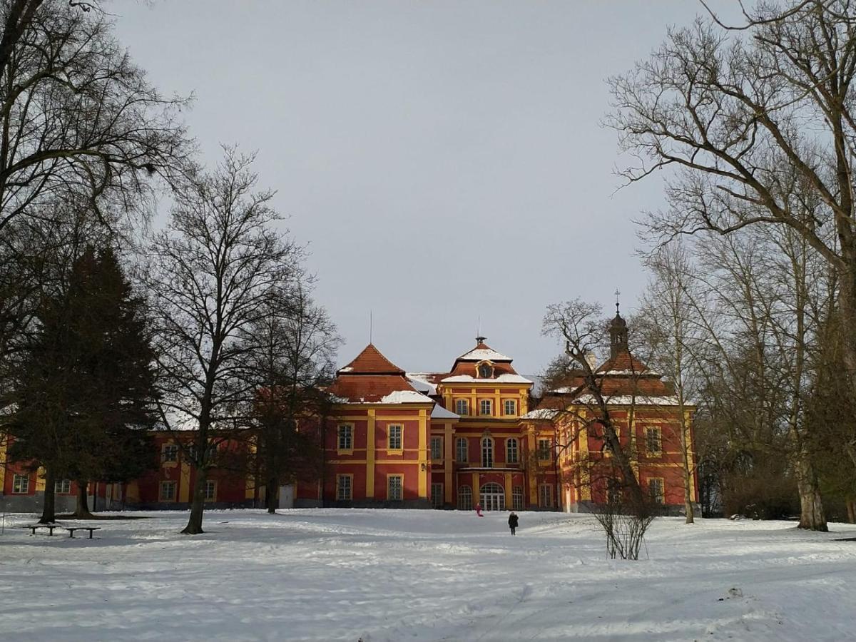 Camping & Guest House Pliskovice Mirovice Eksteriør billede
