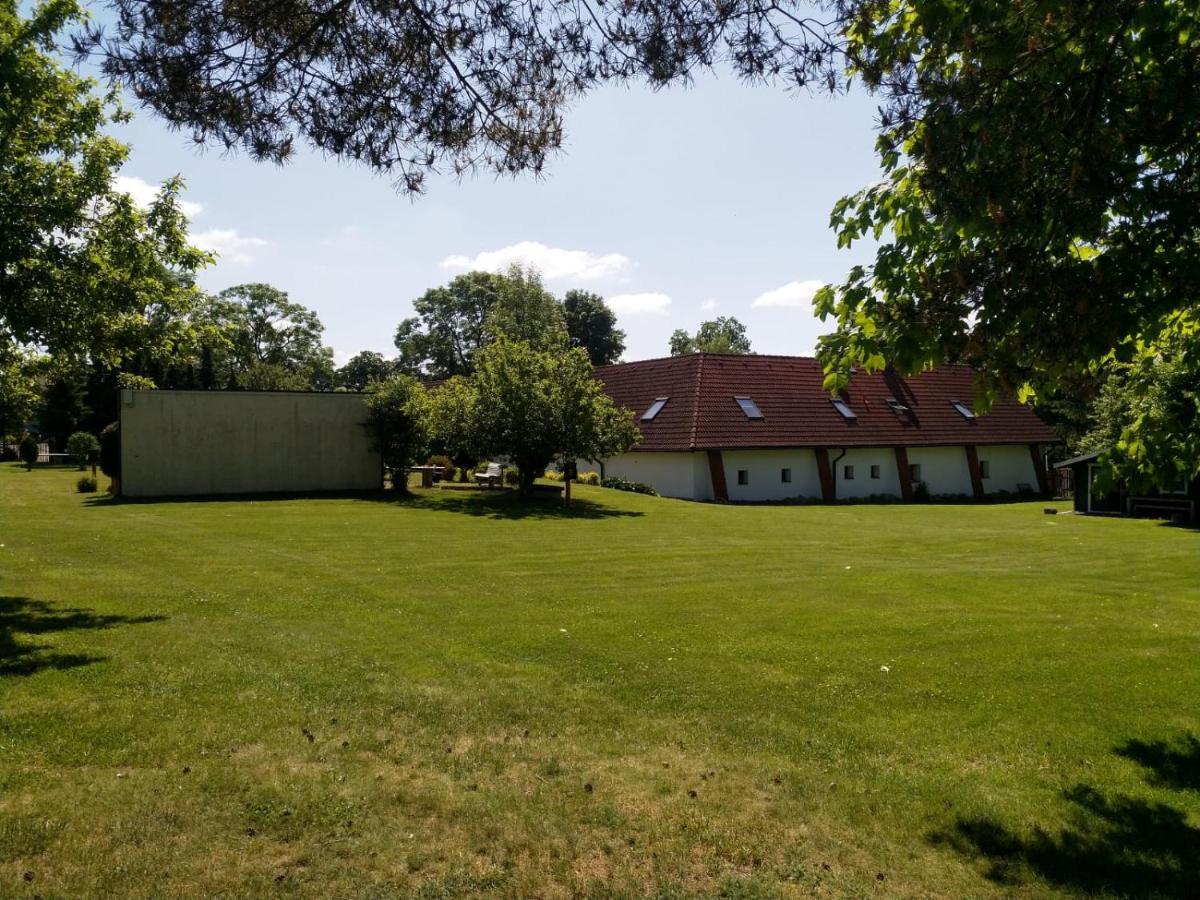 Camping & Guest House Pliskovice Mirovice Eksteriør billede