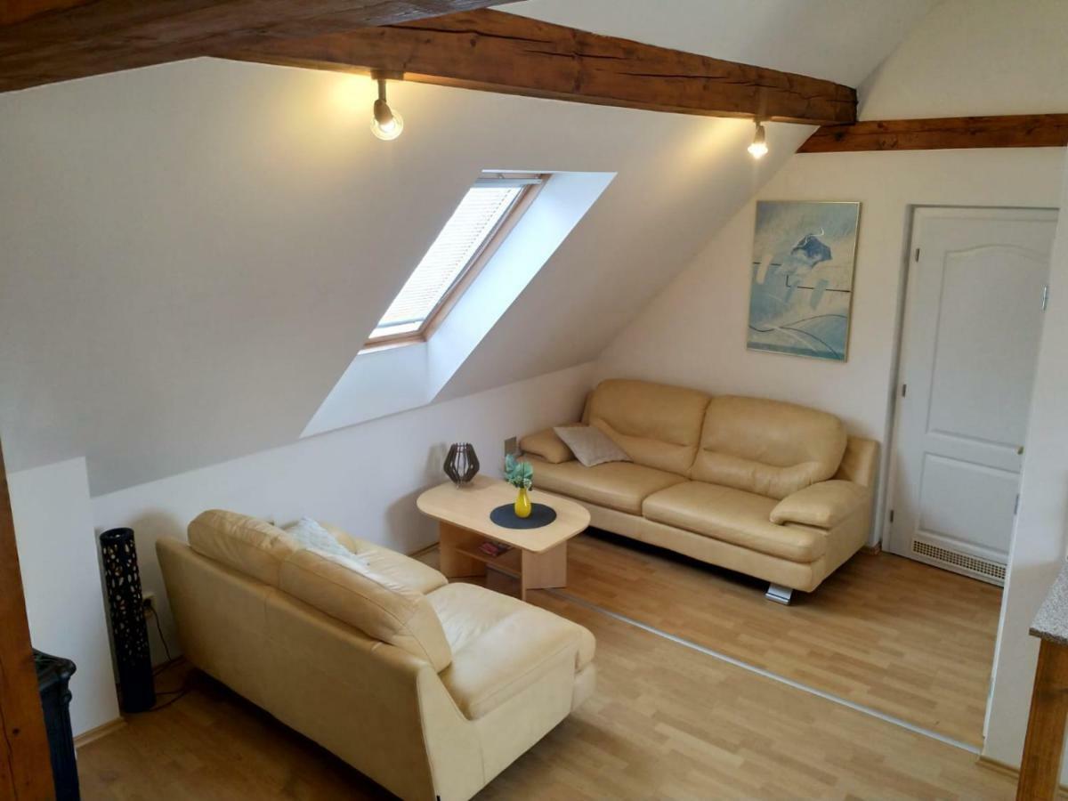 Camping & Guest House Pliskovice Mirovice Eksteriør billede